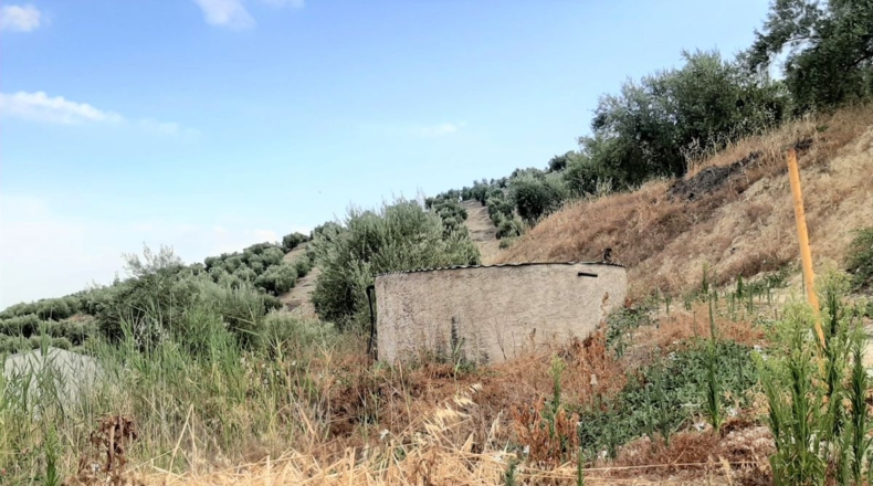 Jaén - Santo Tomé - 55000m2