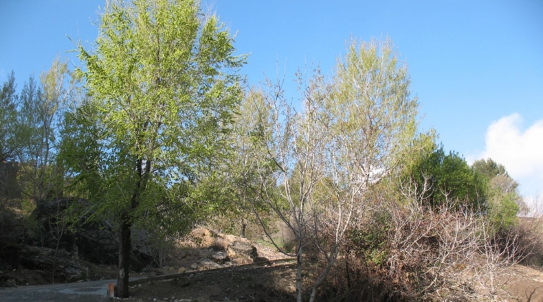 Jaén - La Iruela - 434m2