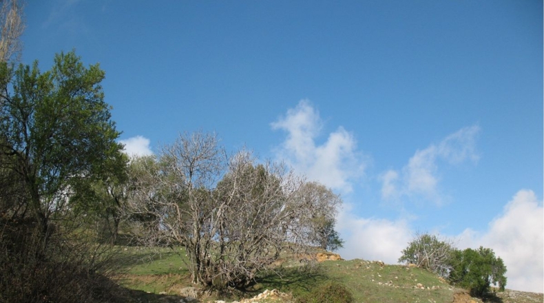 Jaén - La Iruela - 434m2