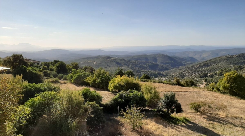 Jaén - Burunchel - 935m2