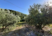 Terreno no urbanizable en venta en La Iruela ref: TR110833 foto