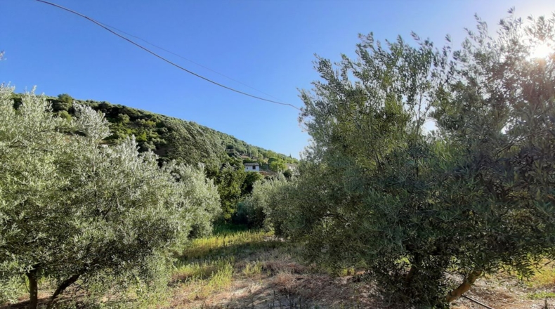 Jaén - Arroyo Frío - 6444m2