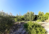 Terreno no urbanizable en venta en La Iruela ref: TR110833 foto