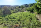 Terreno no urbanizable en venta en La Iruela ref: TR110833 foto