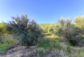 La Iruela 10&nbsp;м²