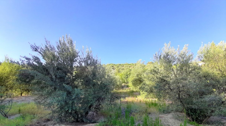 Jaén - Arroyo Frío - 6444m2