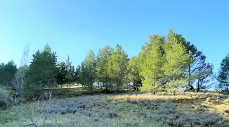 Jaén - La Iruela - 415m2