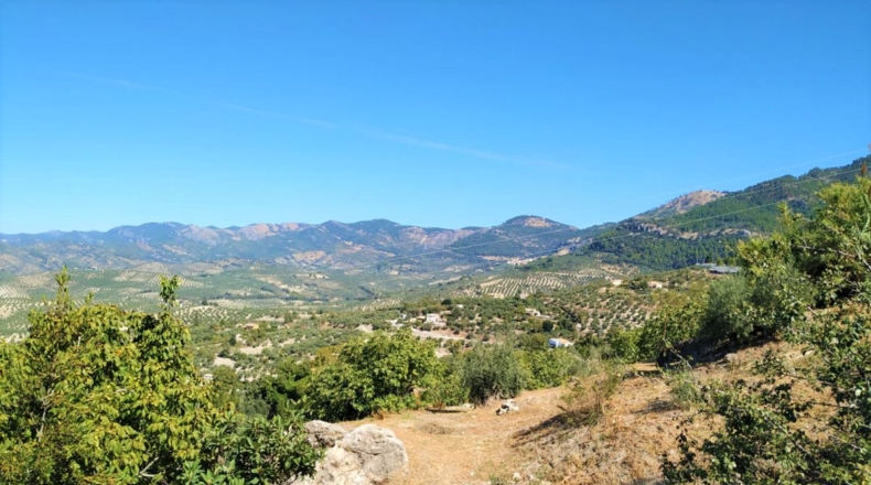 Jaen - Burunchel - 6272m2