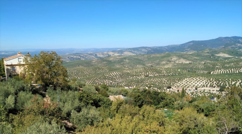 Jaen - Burunchel - 6272m2