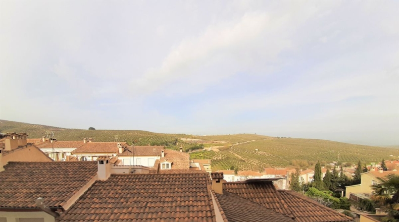 Jaén - La Ribera - 371m2