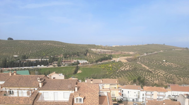 Jaén - La Ribera - 371m2