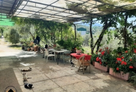 Foto 16