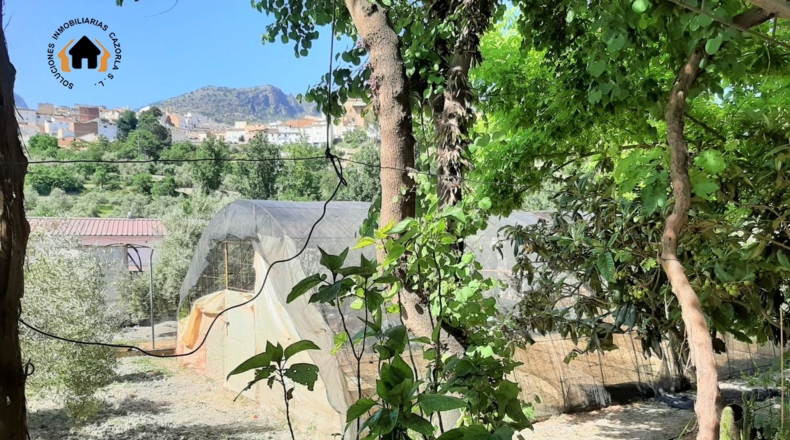 Jaén - El Molar - 2800m2