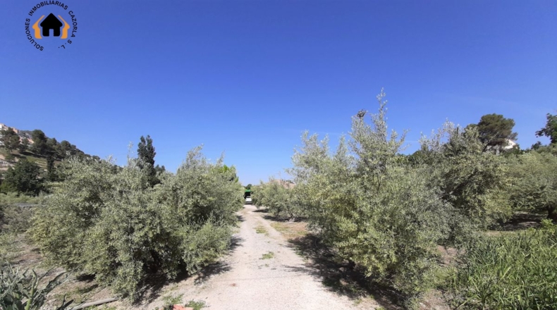 Jaén - El Molar - 2800m2
