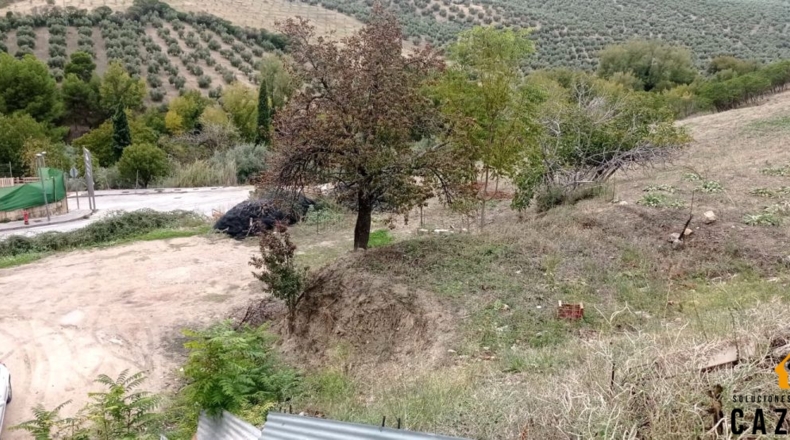 Jaén - La Ribera - 530m2