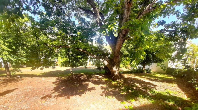 Jaén - Arroyo Frío - 1131m2