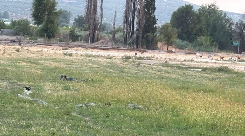 Jaen - Santo Tomé - 17700m2