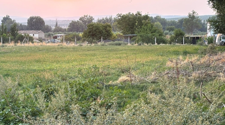 Jaen - Santo Tomé - 17700m2