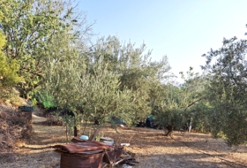 Quesada 70&nbsp;m² 