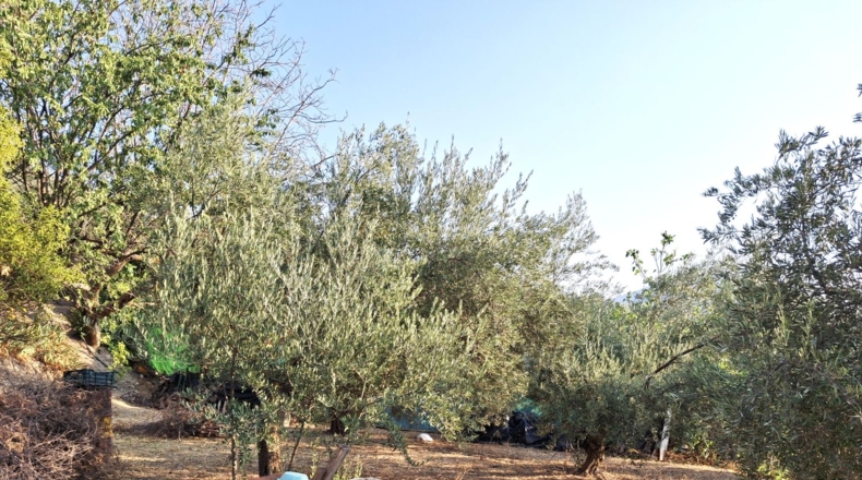 Jaén - Quesada - 70m2