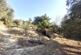 Quesada 70&nbsp;m² 