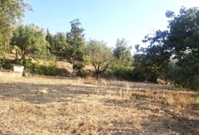 Quesada 70&nbsp;m² 