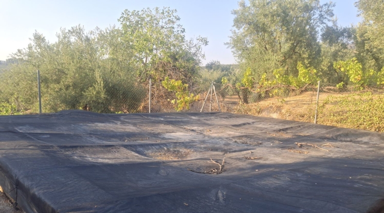 Jaén - Quesada - 70m2