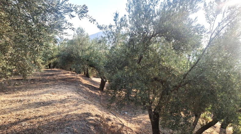 Jaén - Quesada - 70m2