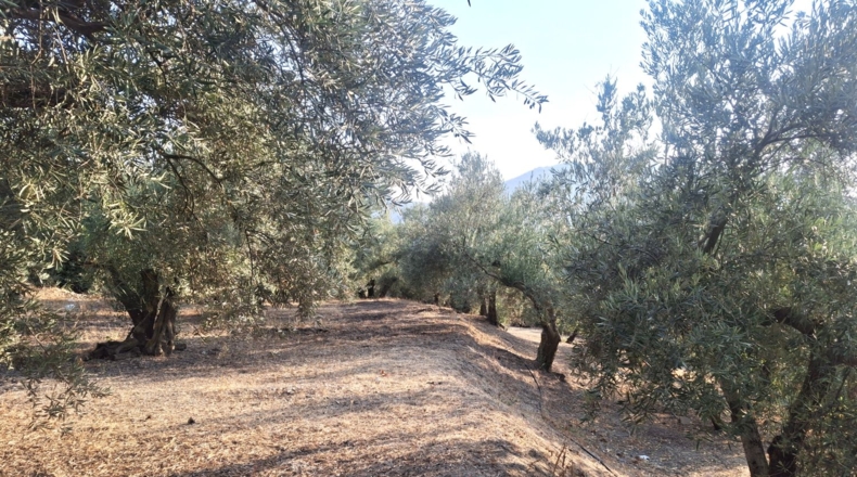 Jaén - Quesada - 70m2