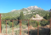 Finca rústica en venta en Cazorla ref: TR12761 foto