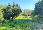 Finca rústica en venta en Cazorla ref: TR12761 foto