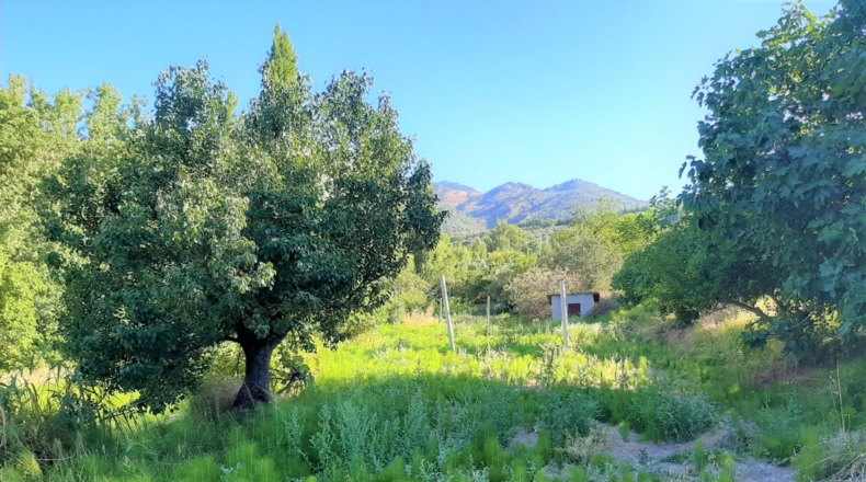 Jaén - Cazorla - 300m2