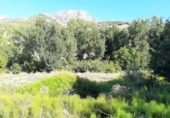 Finca rústica en venta en Cazorla ref: TR12761 foto