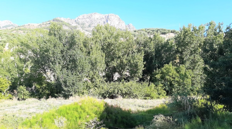 Jaén - Cazorla - 300m2