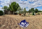 Terreny no urbanitzable en venda a Villafranca de los Barros ref.: TR110741 foto