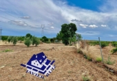 Terreny no urbanitzable en venda a Villafranca de los Barros ref.: TR110741 foto