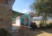 Finca rústica en venda a Castelló de la Plana ref.: TR189645 foto