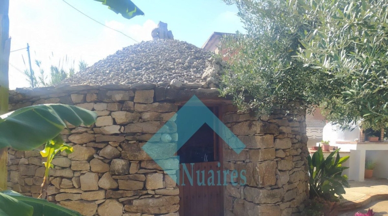 Castellón - Castelló de la Plana - 3996m2