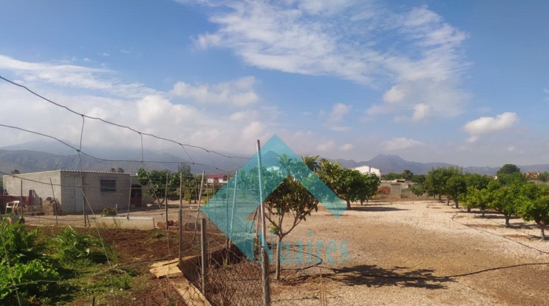 Castellón - Castelló de la Plana - 3996m2