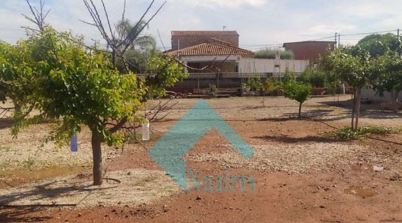 Castellón - Castelló de la Plana - 3996m2