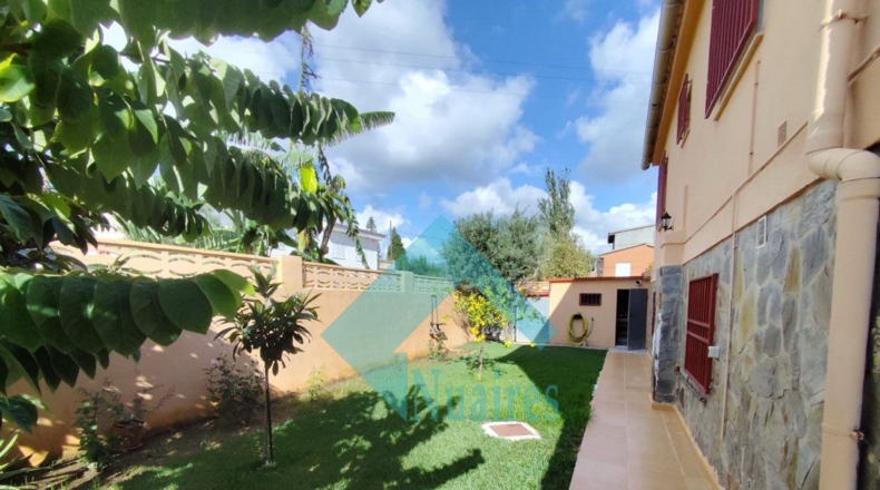 Castellón - Castelló de la Plana - 800m2