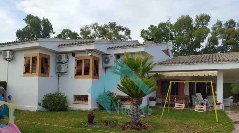 Castellón - Castellón de la Plana - 1300m2
