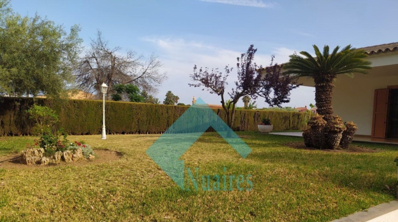 Castellón - Castellón de la Plana - 1300m2