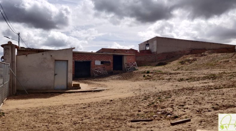 Toledo - Guadamur - 1393m2