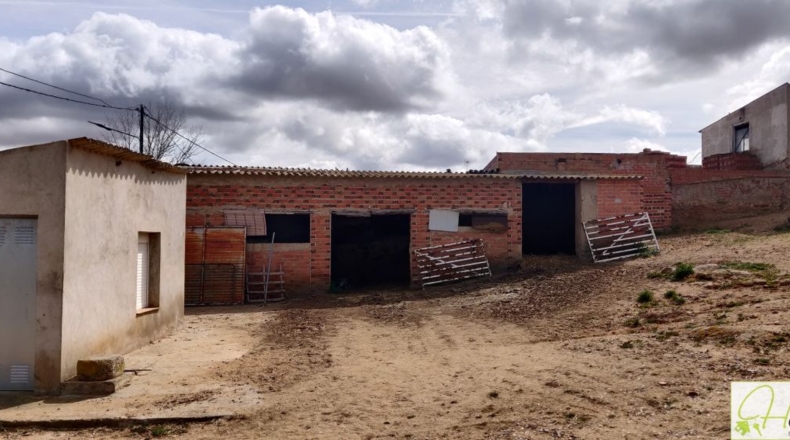 Toledo - Guadamur - 1393m2