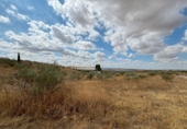 Non-developable land for sale in Toledo ref: TR110582 photo