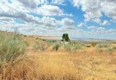 Non-developable land for sale in Toledo ref: TR110582 photo