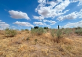 Non-developable land for sale in Toledo ref: TR110582 photo
