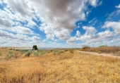 Non-developable land for sale in Toledo ref: TR110582 photo