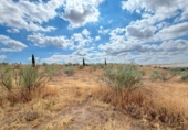 Non-developable land for sale in Toledo ref: TR110582 photo